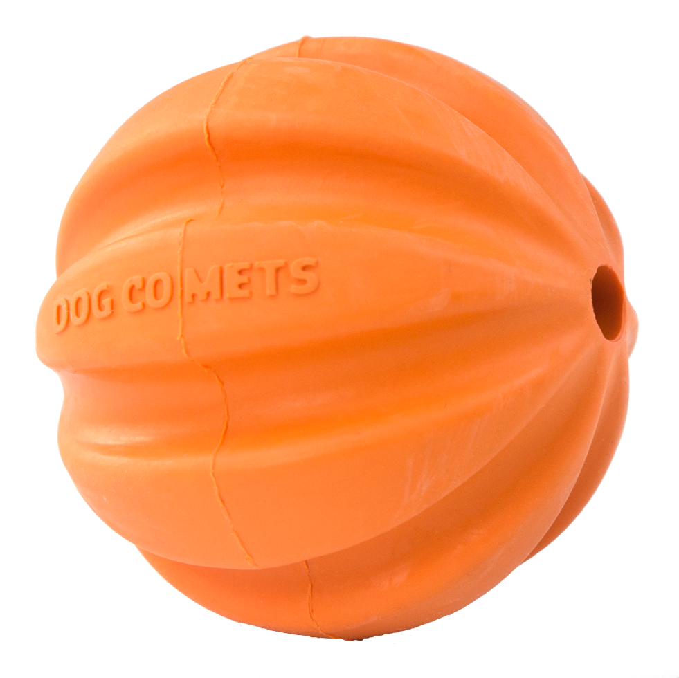 Dog Comets Swift Tuttle Oranje — afbeelding 2