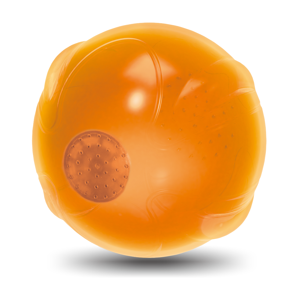 AFP Zen Pet-Anti Anxiety Speaking ball — afbeelding 2