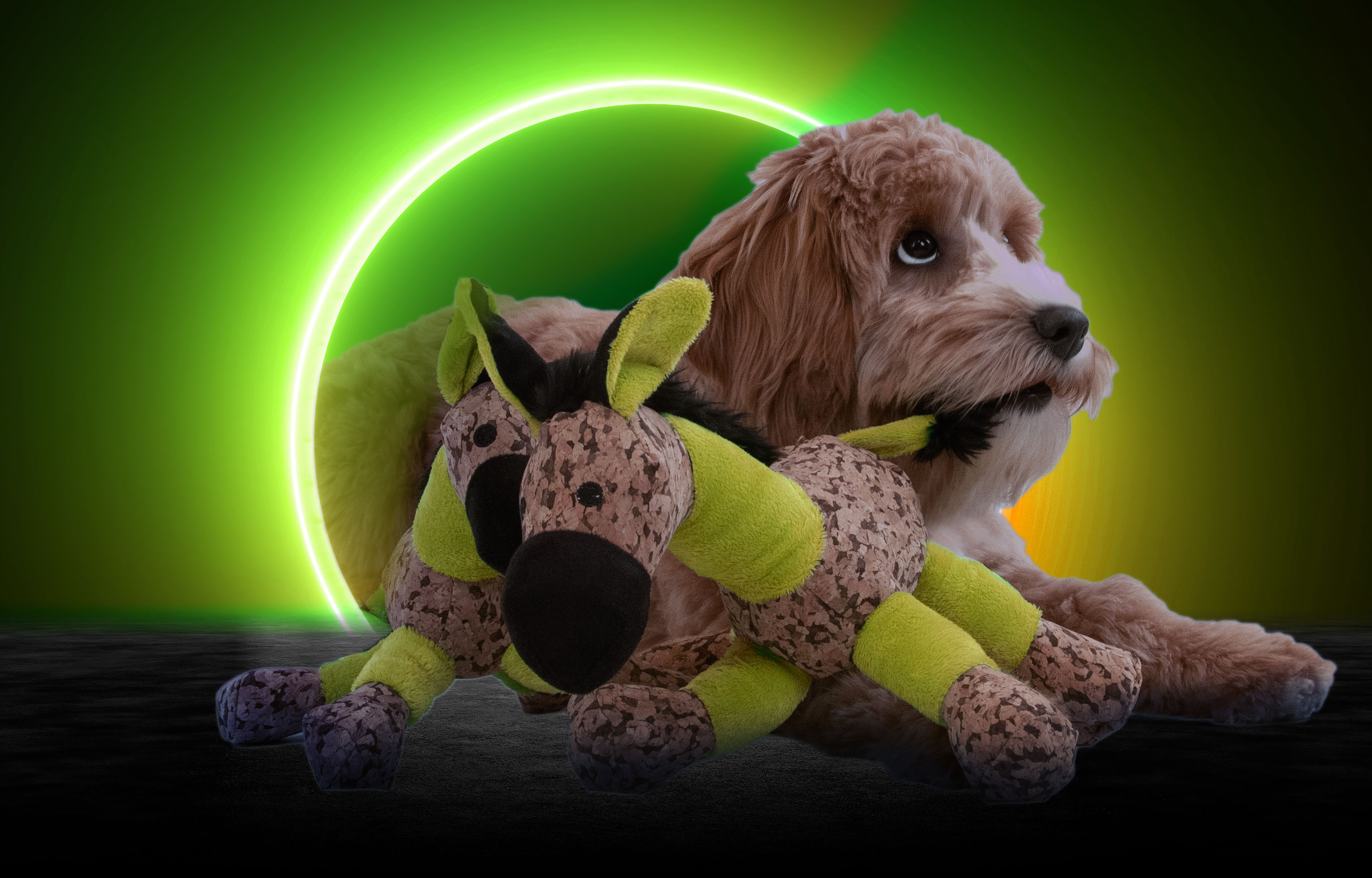 Retrodog Donkey Geel S — afbeelding 4