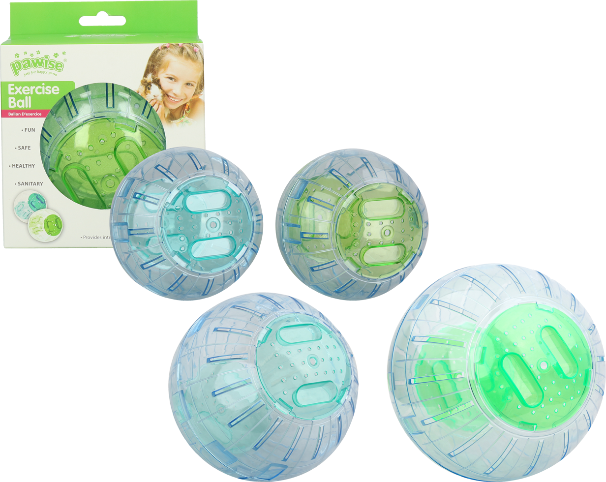 Pawise Exercise Ball S - 13 cm — afbeelding 5