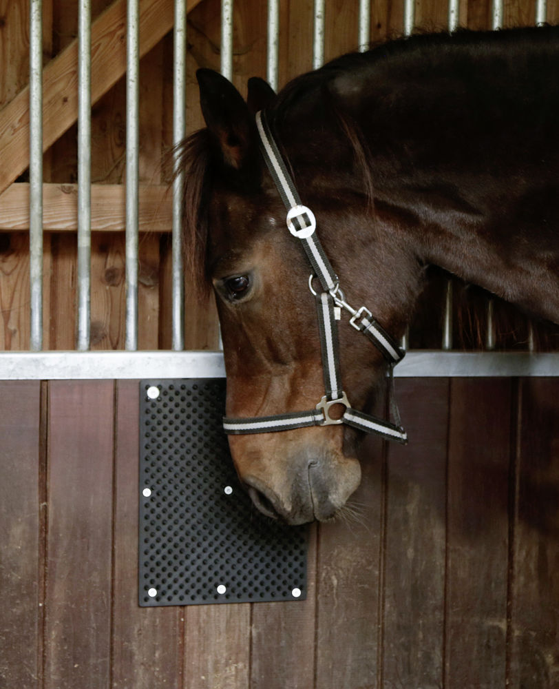 Borstelmat voor Paard, Kalf, Geit 40 x 30 cm — afbeelding 5