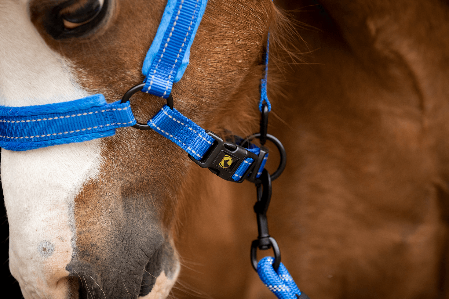 Excellent Superior Halster Blauw XS — afbeelding 4