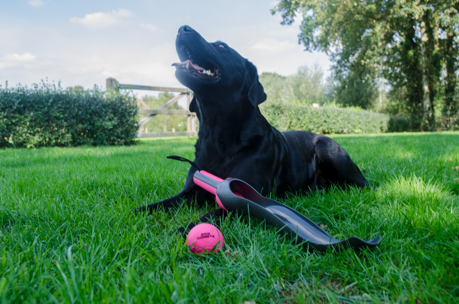 Dog Comets Star Launcher Roze — afbeelding 4