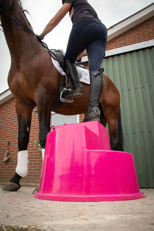Excellent Horse Opstaphulp 3 Treden Roze — afbeelding 5