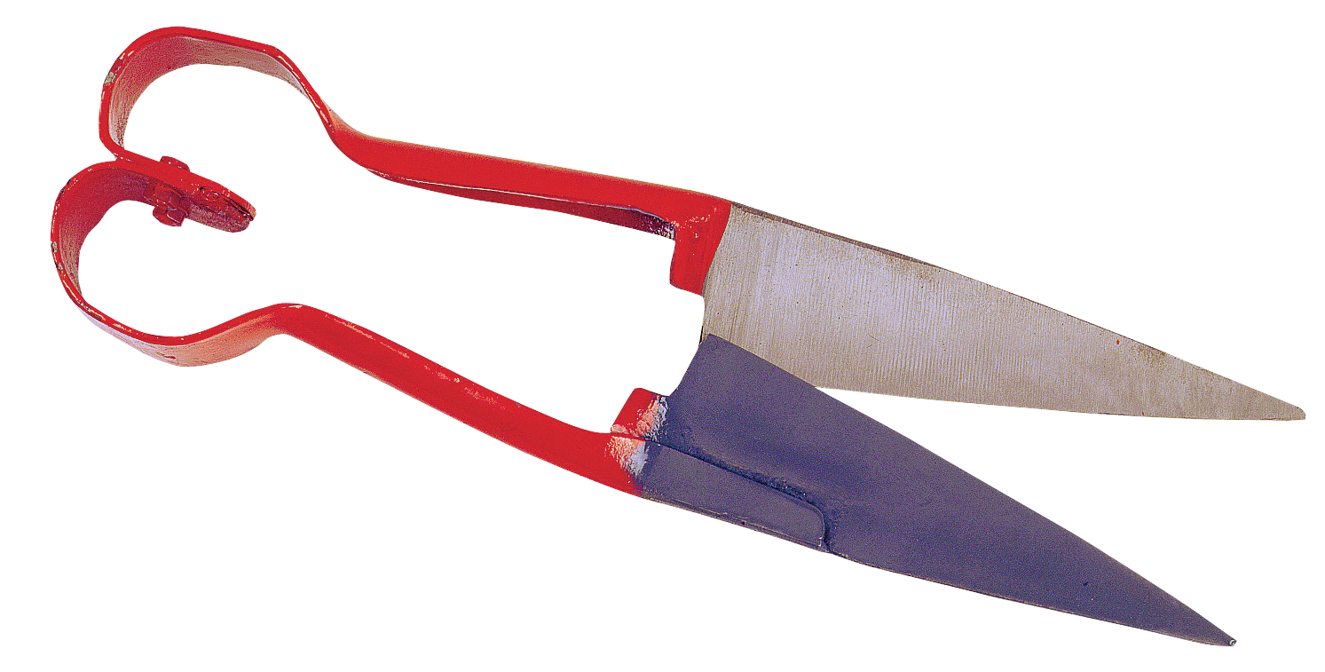 Schapenwolschaar Hartmodel — afbeelding 2