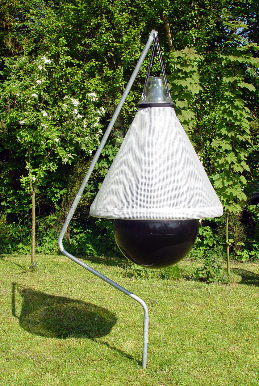 Loer Dazenval Compleet — afbeelding 4