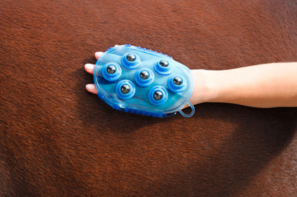Borstel magneet massage Blauw — afbeelding 4