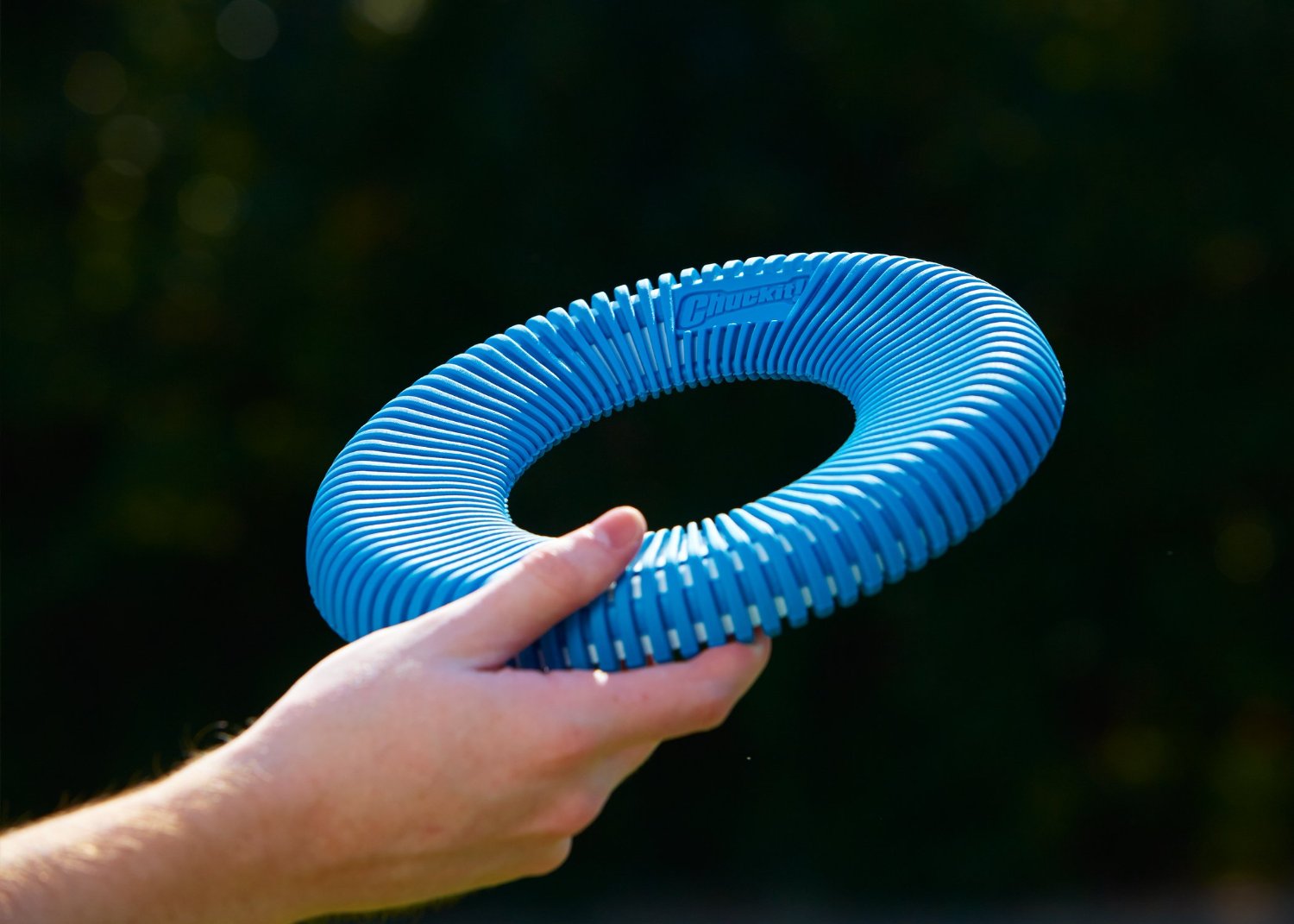 Chuckit! Rugged Flyer L — afbeelding 2