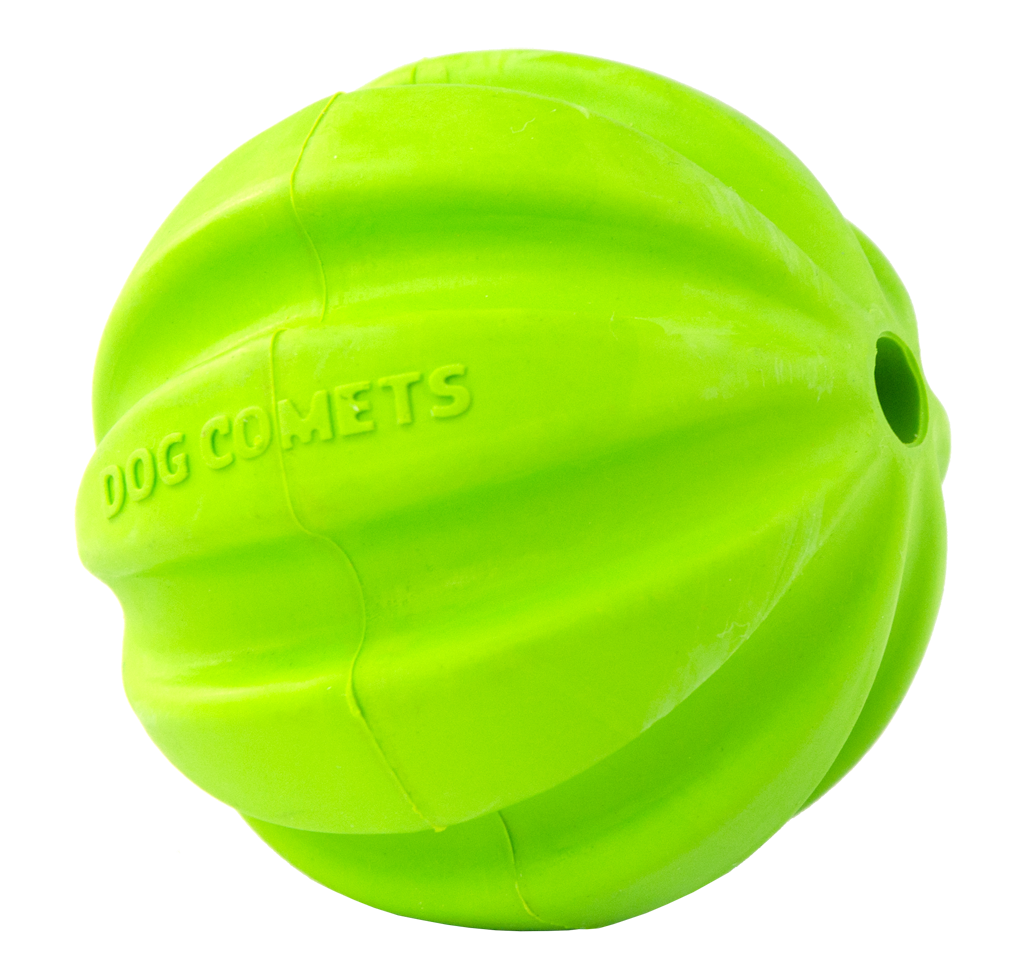 Dog Comets Hale Bopp Groen — afbeelding 2
