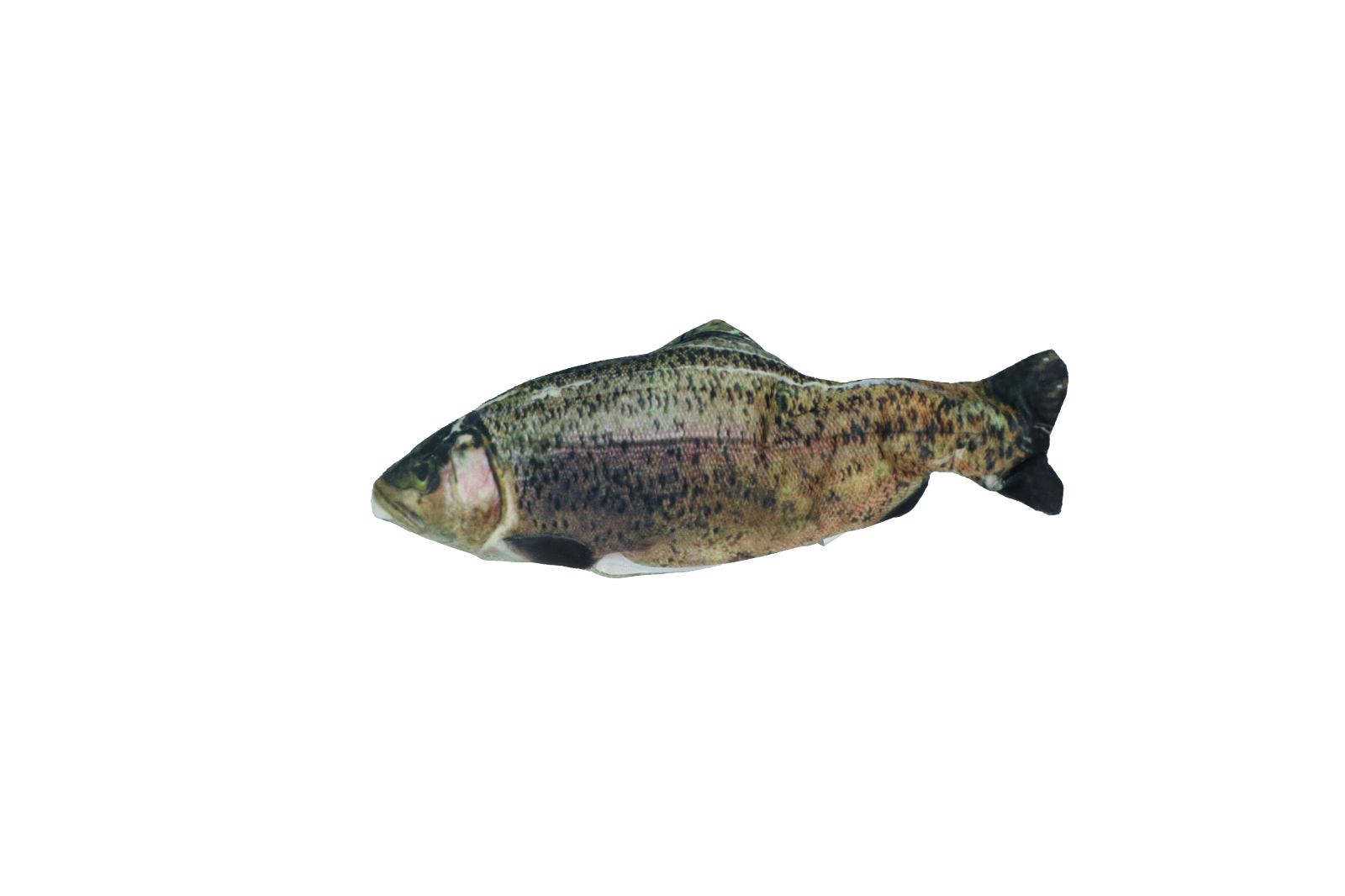 Robocat Forel — afbeelding 2