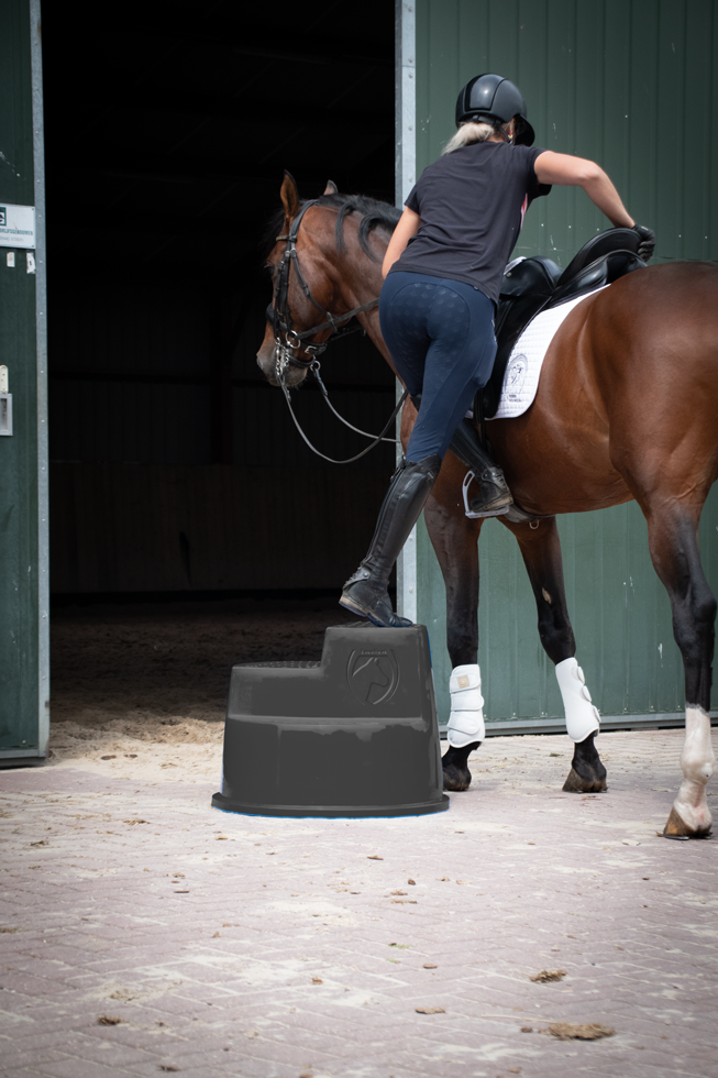 Excellent Horse Opstaphulp 3 Treden Zwart — afbeelding 4