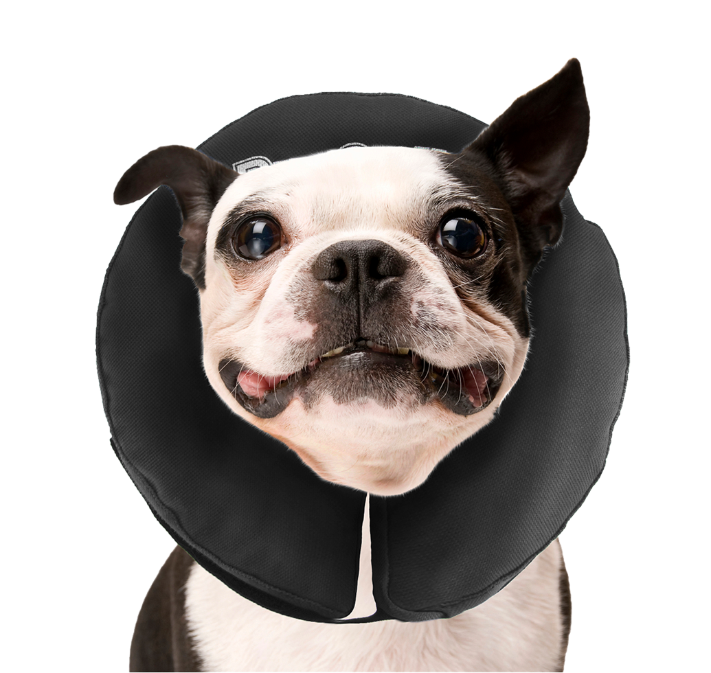 Zenpet ProCollar M — afbeelding 4