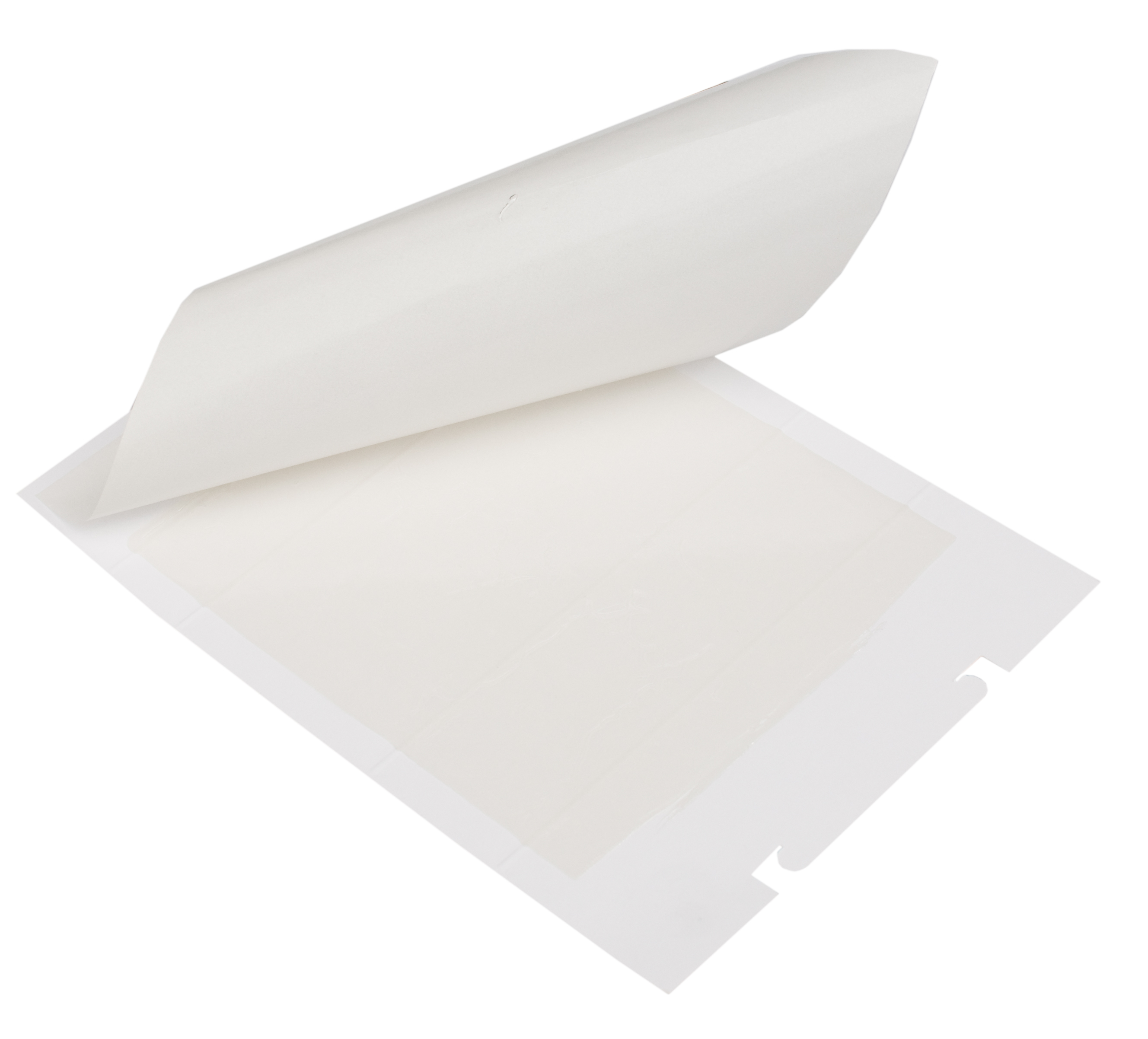Zapi Zap Trap lijmval voor muizen en insecten 15x21cm — afbeelding 2