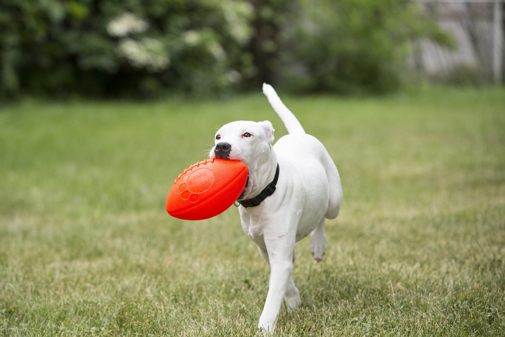 Jolly Football Vanille — afbeelding 3