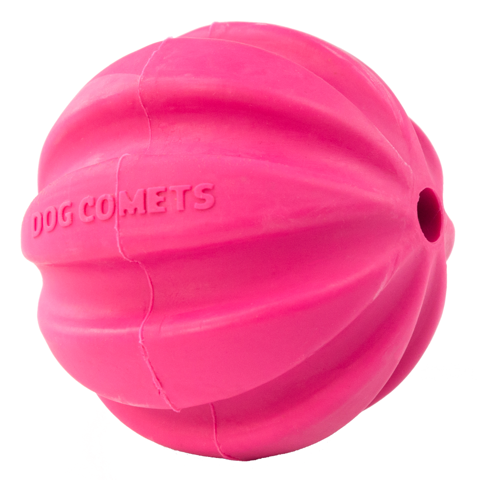 Dog Comets Halley Roze — afbeelding 4