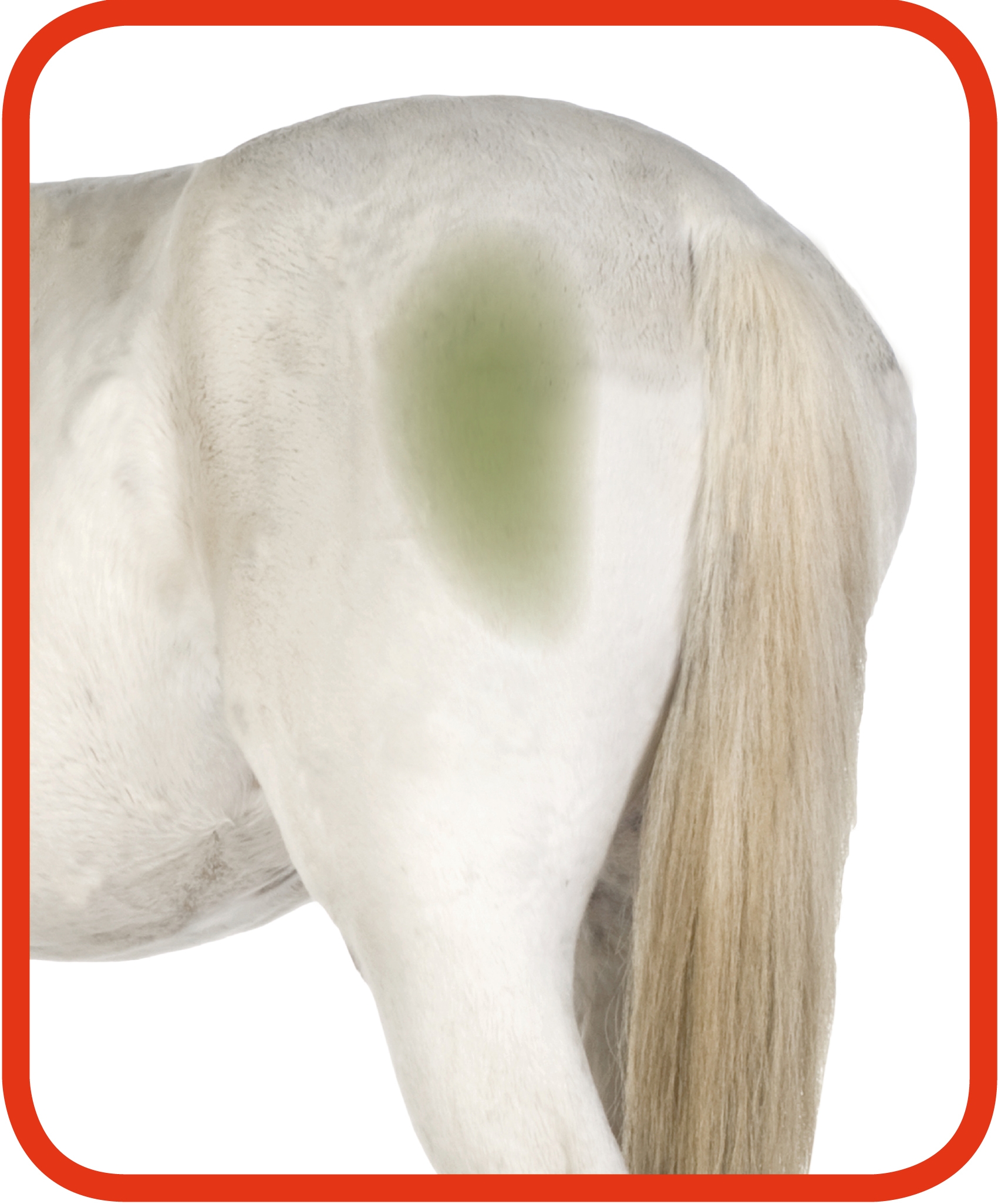 Excellent Horse Hi Gloss Clean Spray 500 ml — afbeelding 3