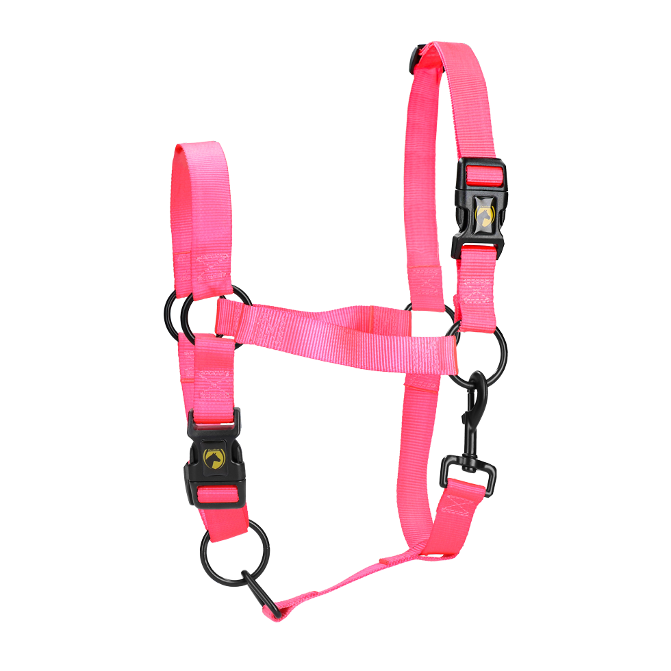 Excellent Essential Halster Roze M