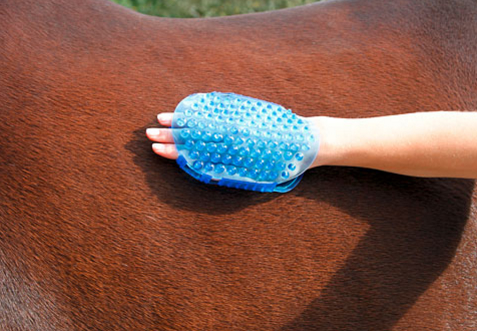 Borstel magneet massage Blauw — afbeelding 5