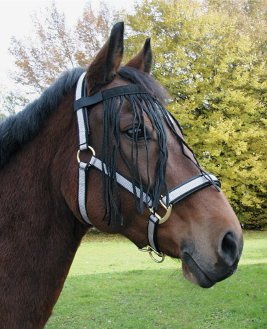 Vliegenfrontriem Paard maat: Full Pony — afbeelding 2