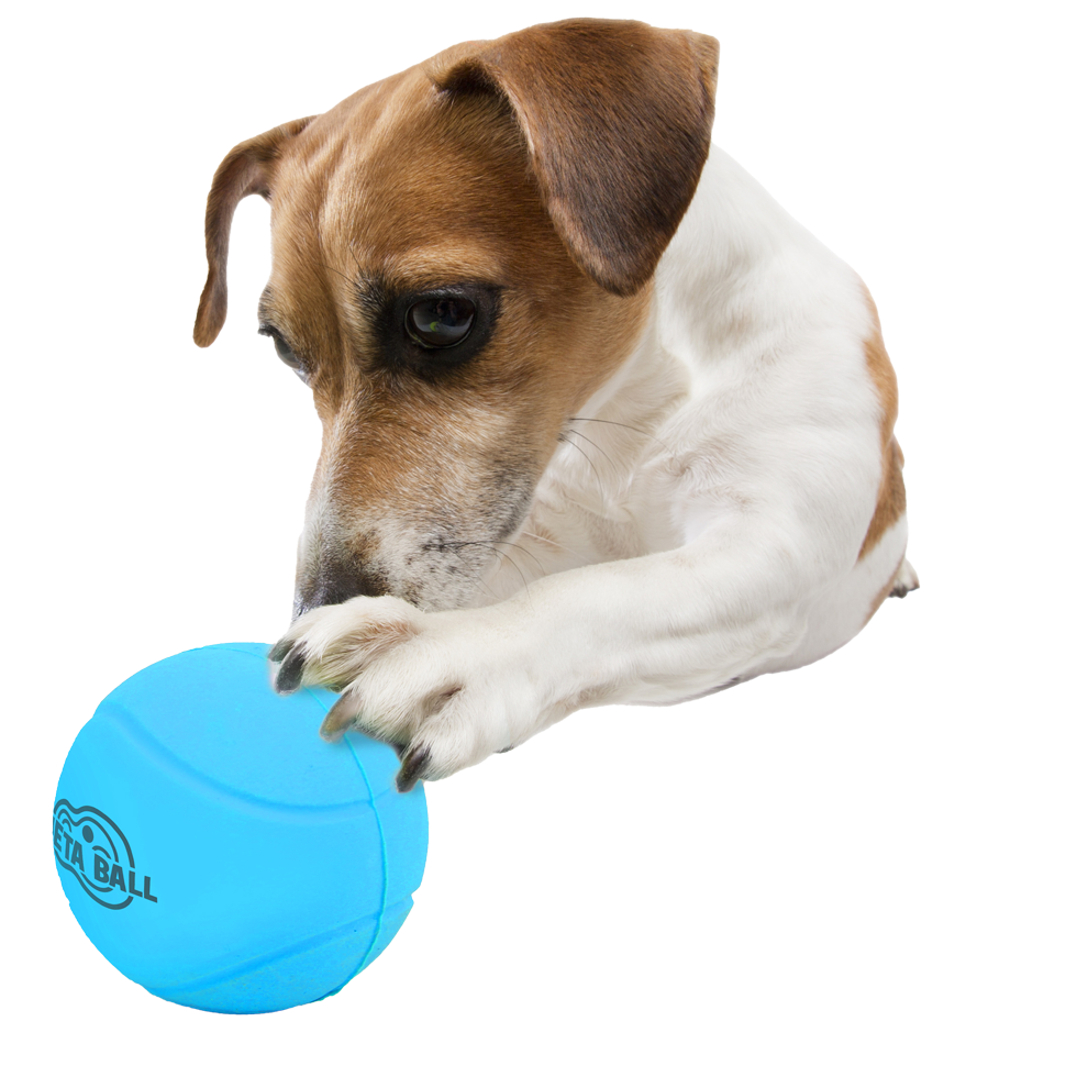 AFP Meta Ball - Bounce & Rattle Ball — afbeelding 3