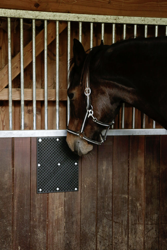Borstelmat voor Paard, Kalf, Geit 40 x 30 cm — afbeelding 6