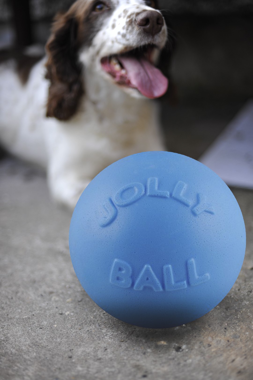Jolly Bounce-n Play Bosbessen L (20 cm) — afbeelding 4