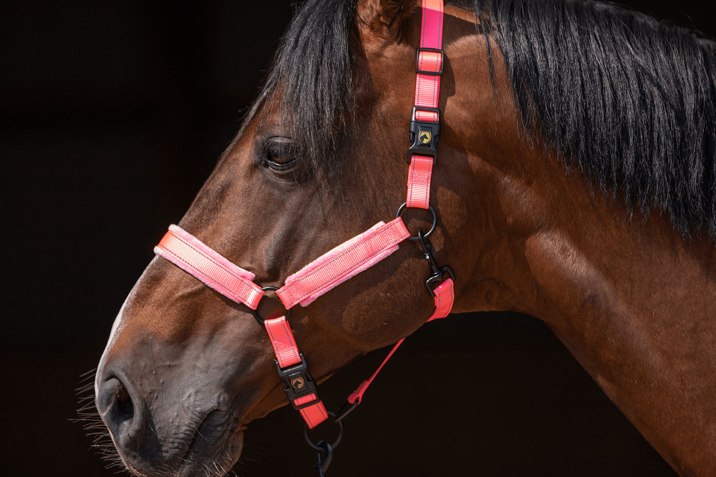 Excellent Superior Halster Roze XS — afbeelding 3