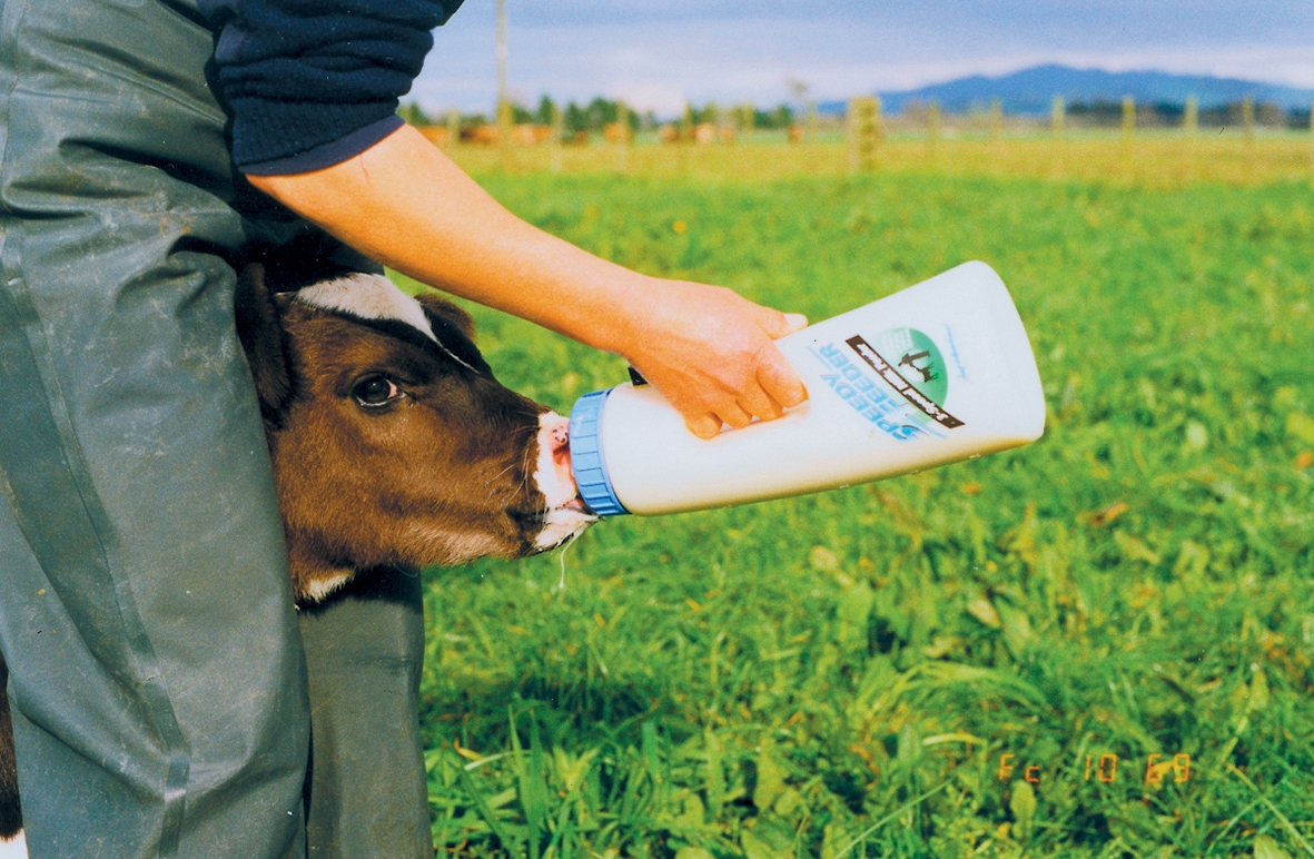 Calf Feeder Speedy Feeder 2,5 l — afbeelding 2