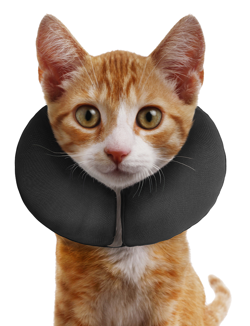 Zenpet ProCollar XS — afbeelding 3