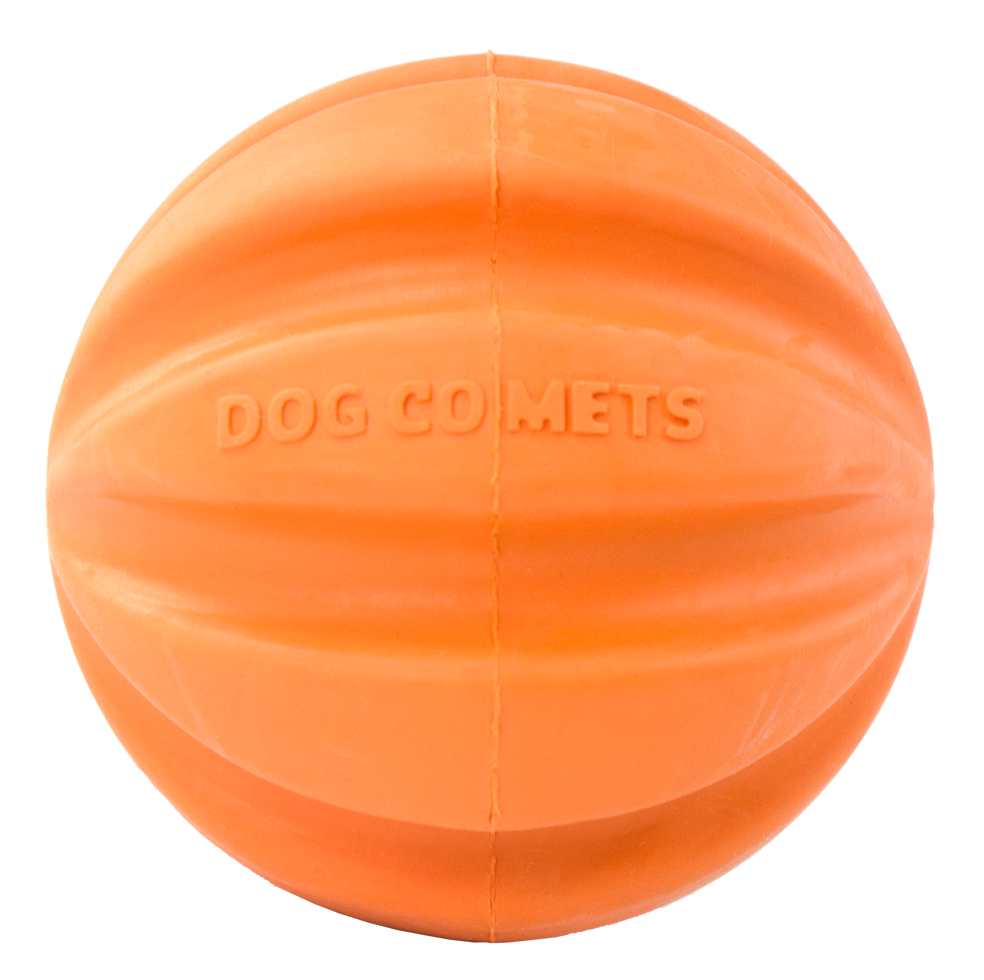 Dog Comets Swift Tuttle Oranje — afbeelding 3