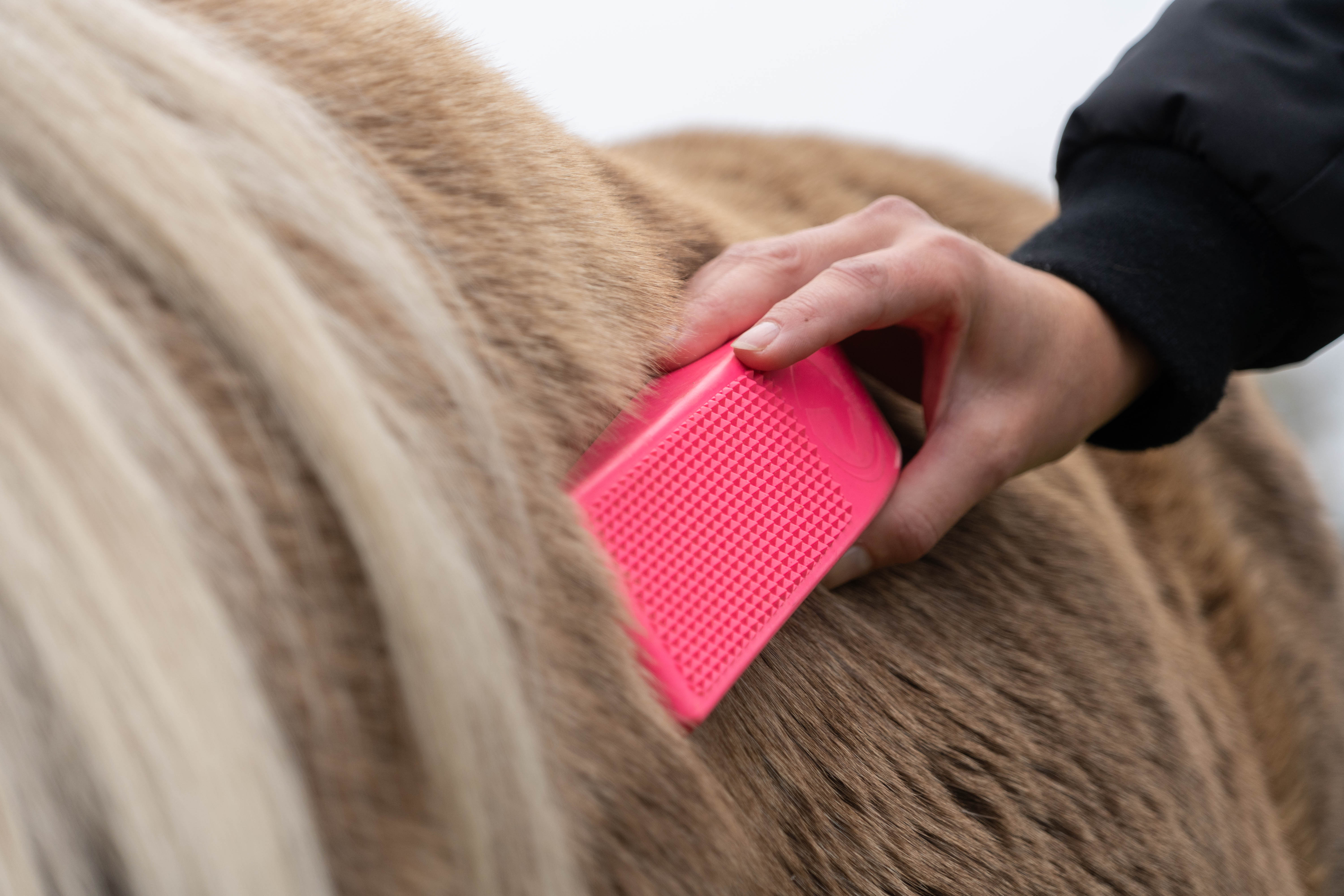 Package Deal Excellent Grooming Brush — afbeelding 4