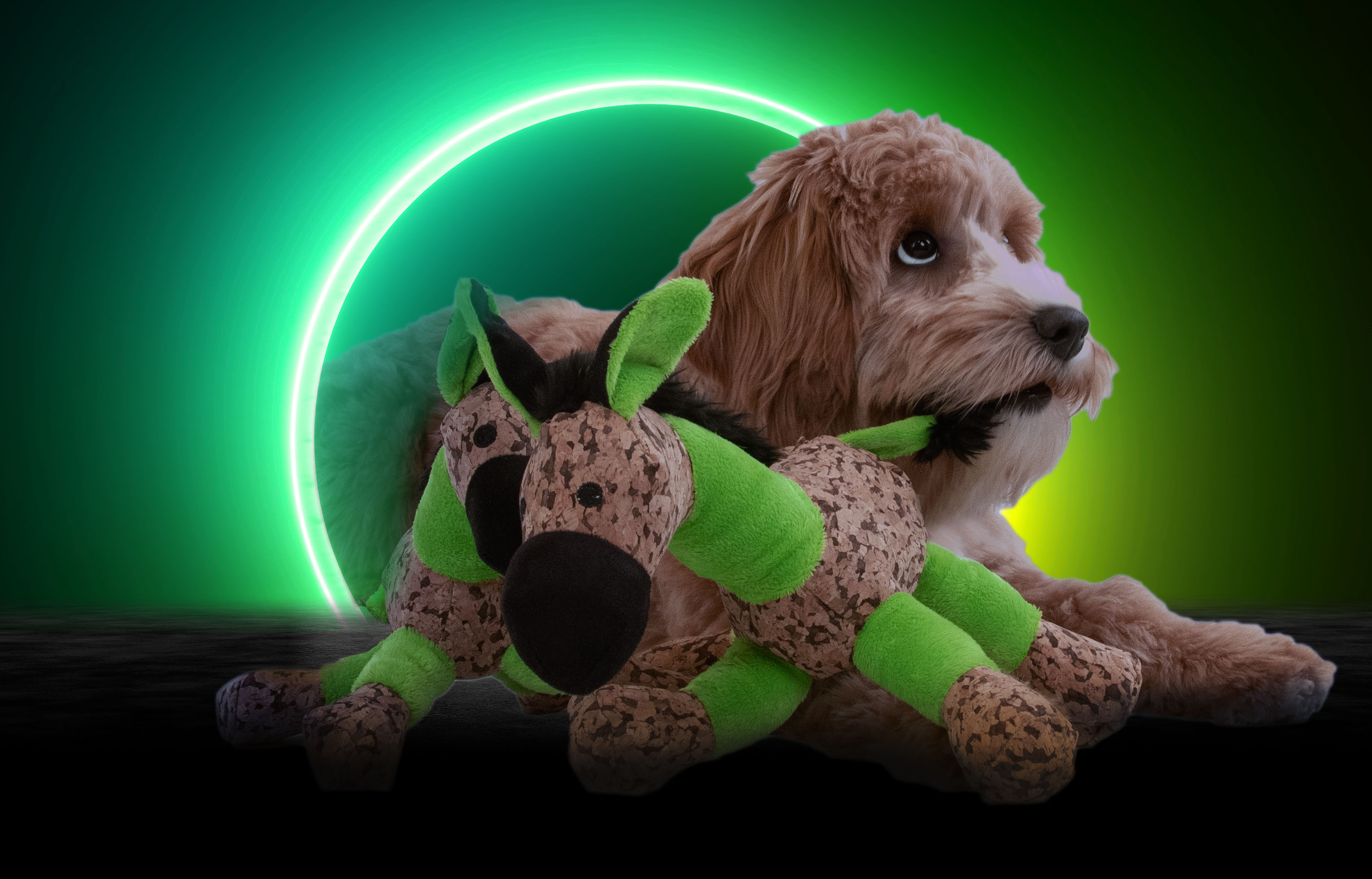 Retrodog Donkey Groen S — afbeelding 4