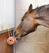 Excellent Horse Salt Lick Himalaya 2-3 kg (Met touw) — afbeelding 2