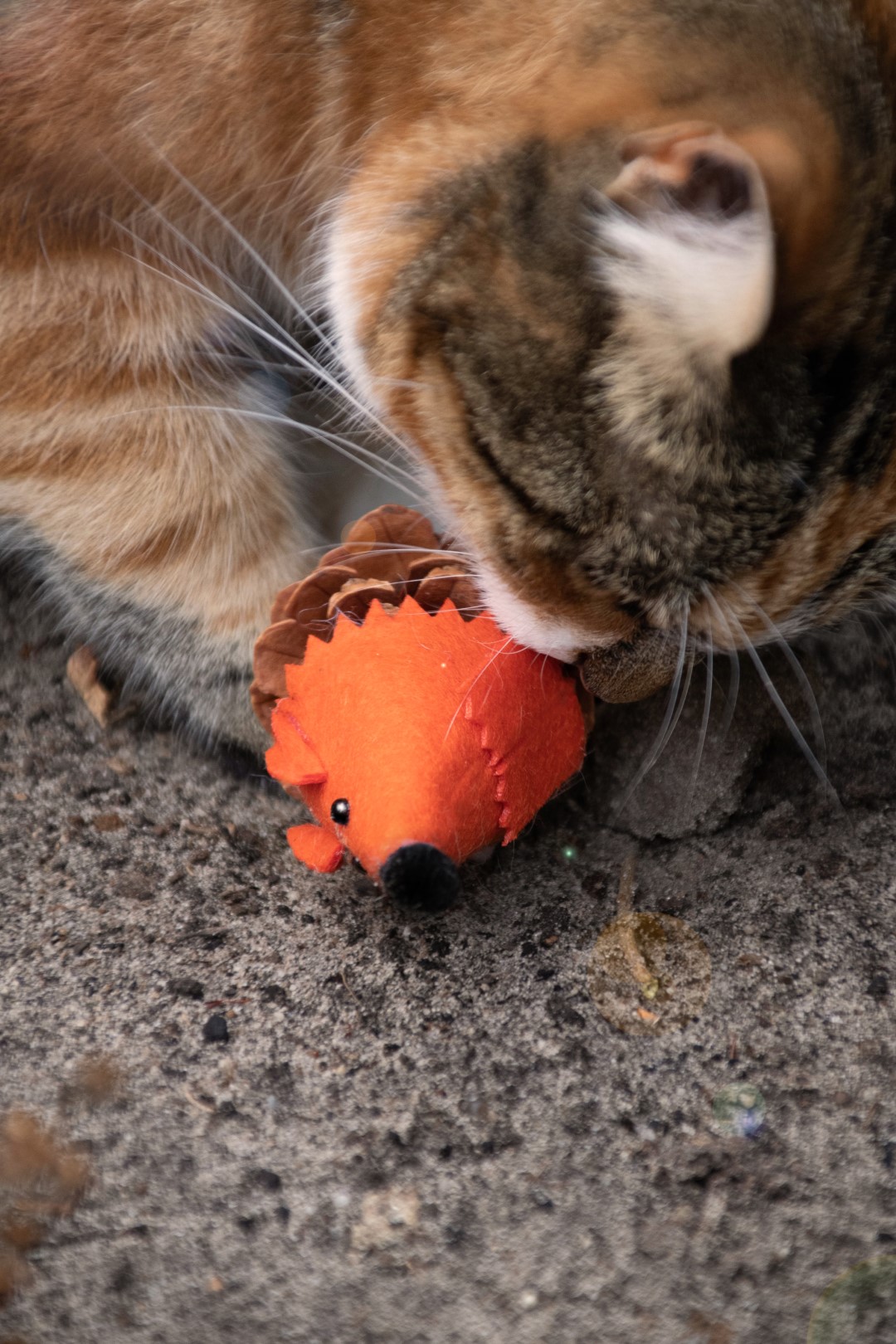 Forest Friends Mouse Oranje — afbeelding 4