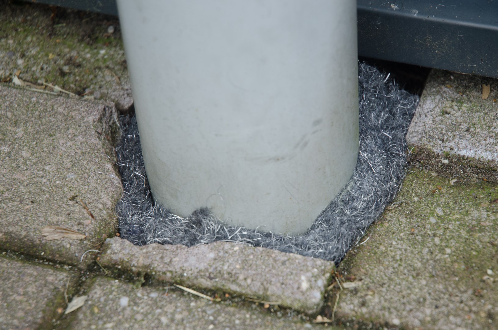 Knock Pest Weringsband Rat/Muis 5 m — afbeelding 2