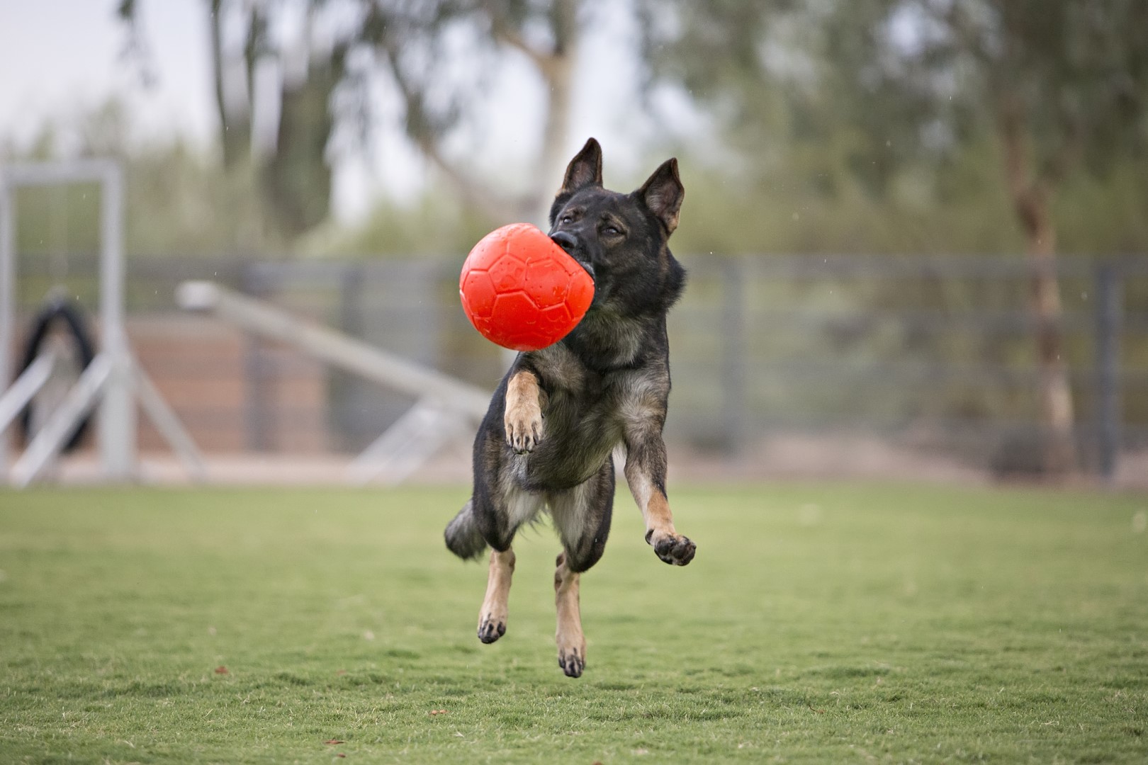 Jolly Soccer Ball Oranje S (15 cm) — afbeelding 5