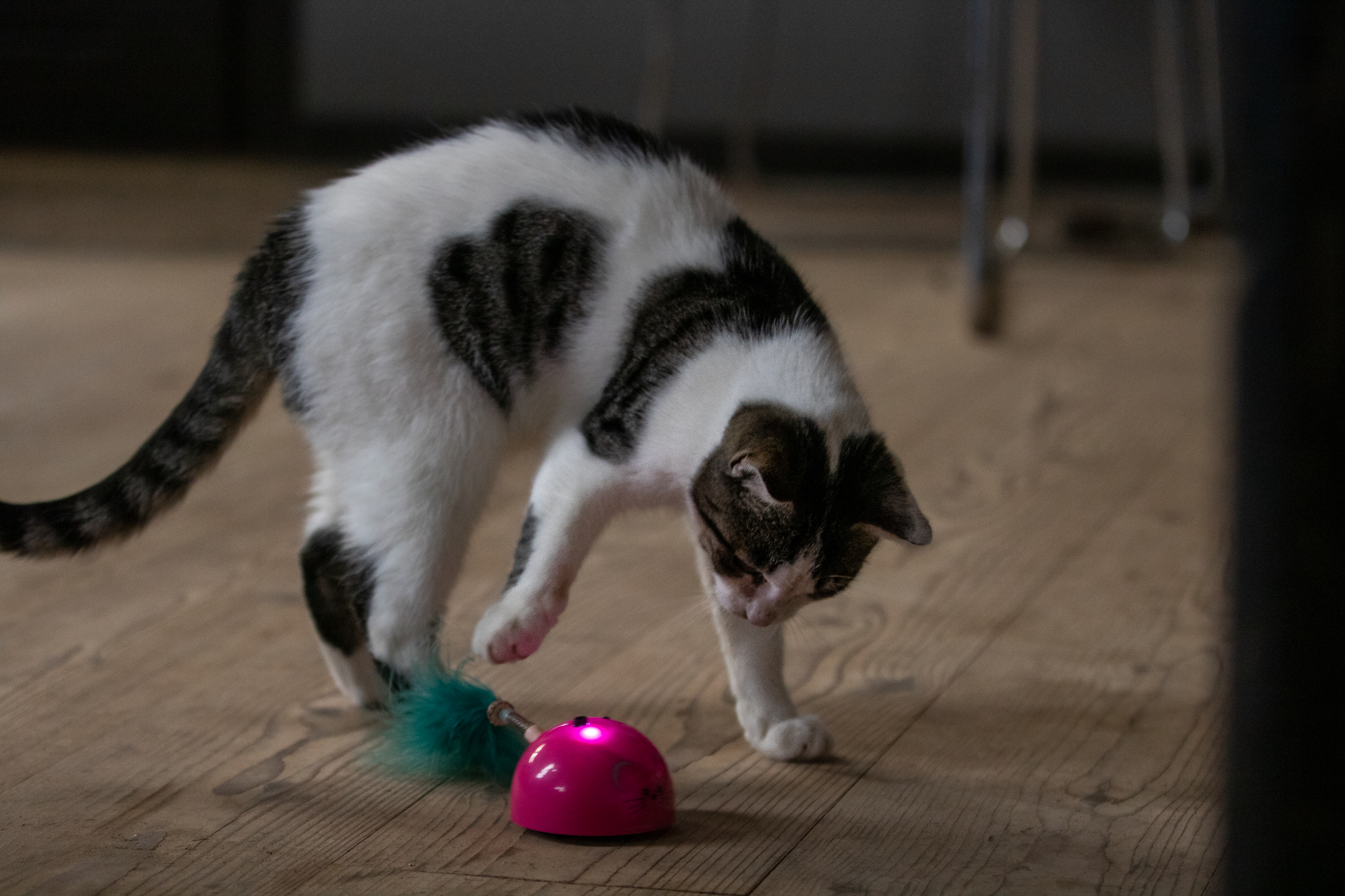 Robocat Muis Roze — afbeelding 5