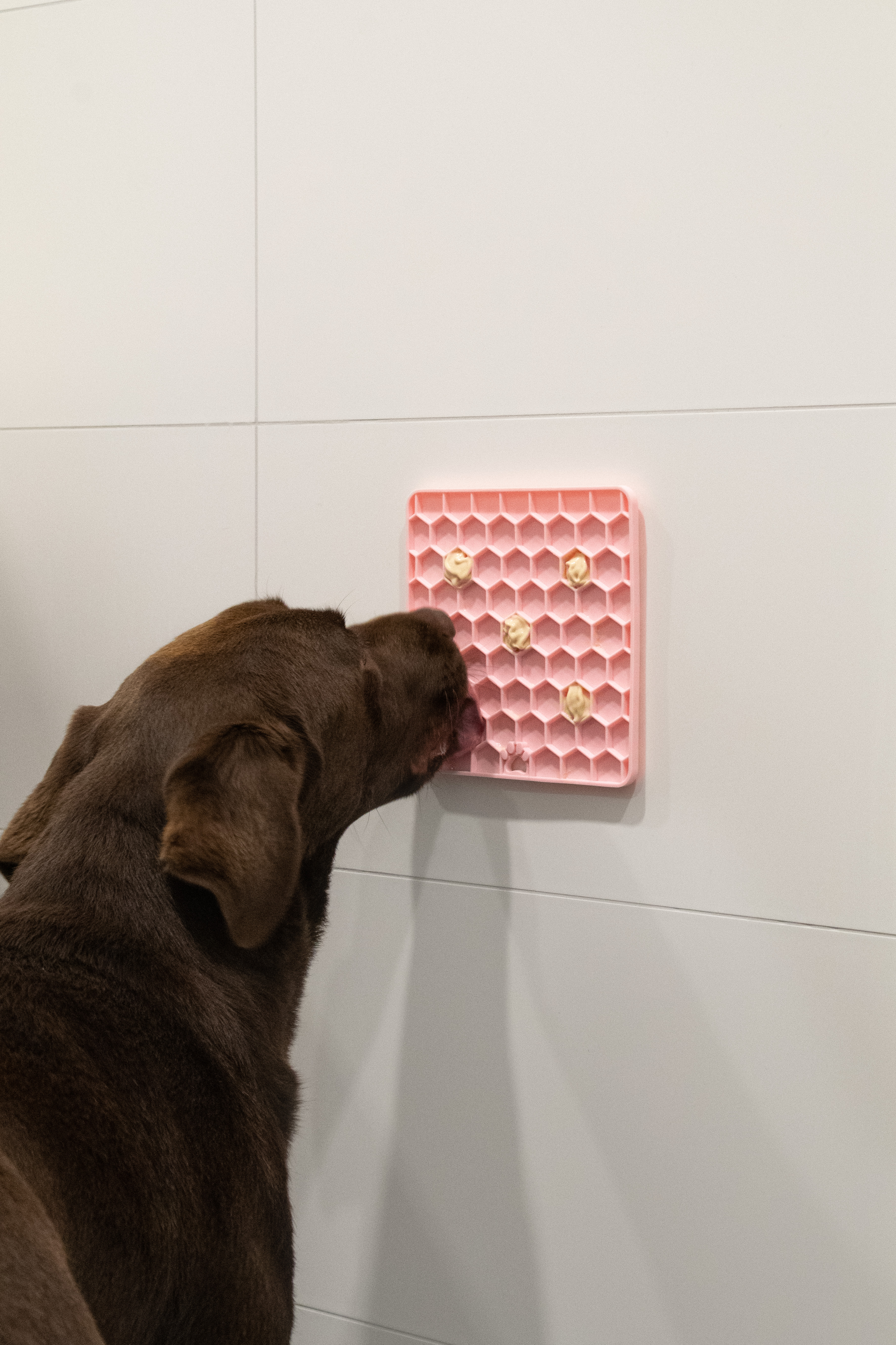 Eat Slow Live Longer Lick Mat Honeycomb Roze — afbeelding 4