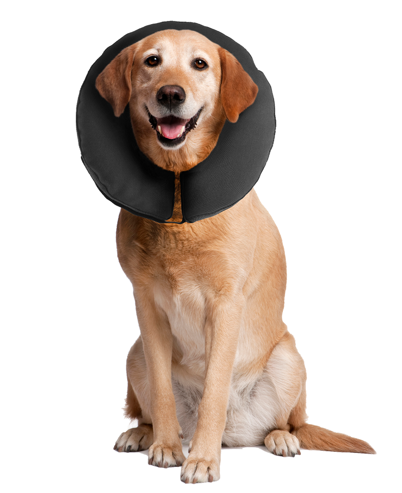 Zenpet ProCollar XL — afbeelding 4