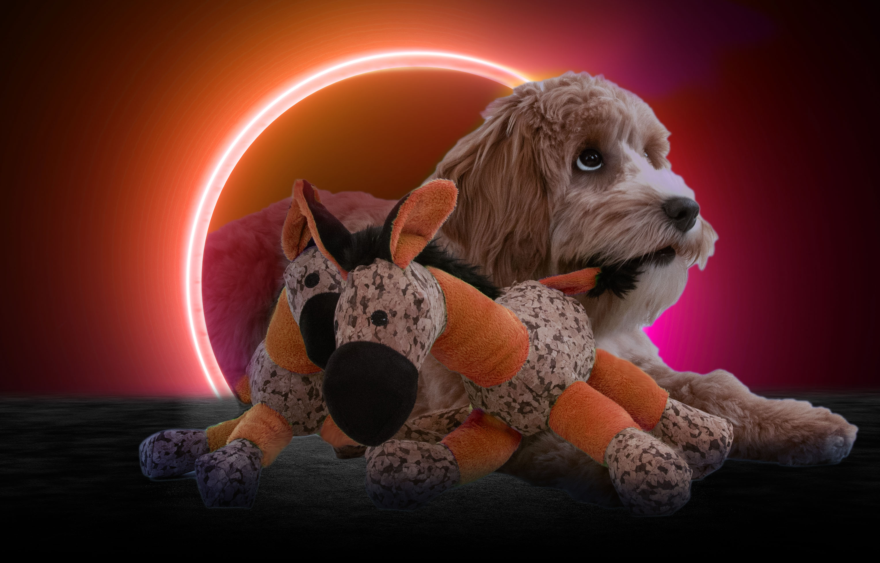 Retrodog Donkey Oranje S — afbeelding 4