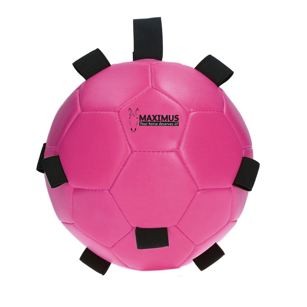 Excellent Horse Fun Play Ball Roze — afbeelding 2