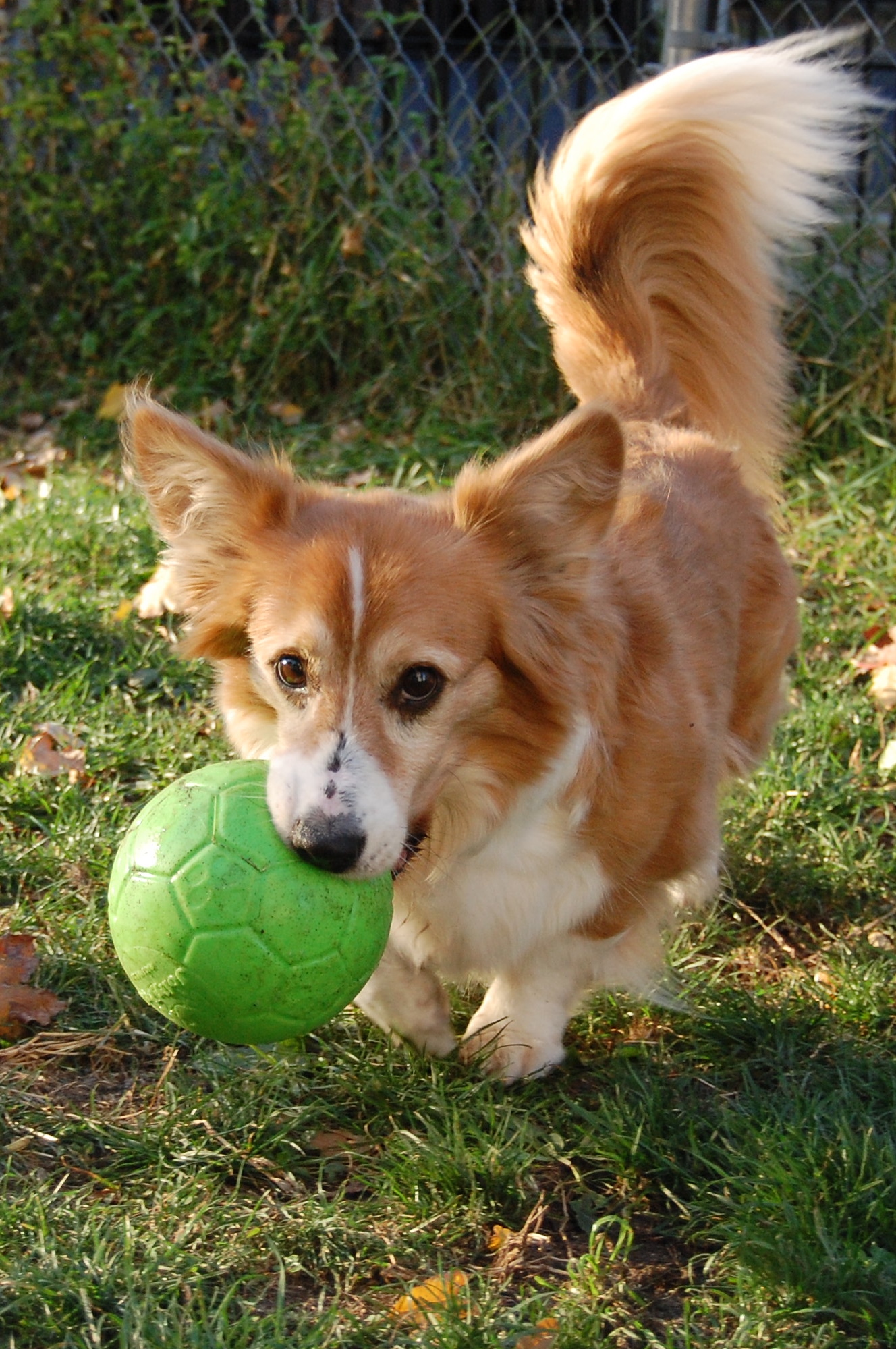 Jolly Soccer Ball Groen S (15 cm) — afbeelding 4