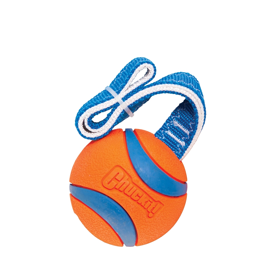 Chuckit! Ultra Tug L — afbeelding 3