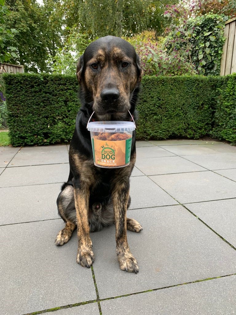 Duo Dog Honden Snacks — afbeelding 2