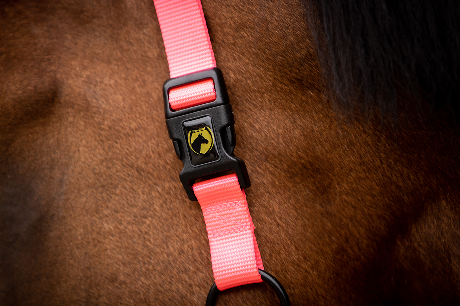 Excellent Superior Halster Roze XS — afbeelding 4