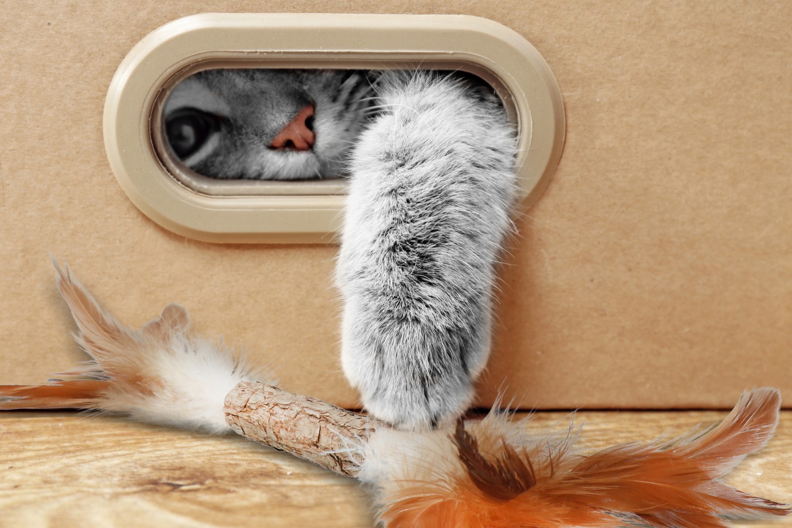 Addicted! Stick with Caterpillar & Feathers — afbeelding 4