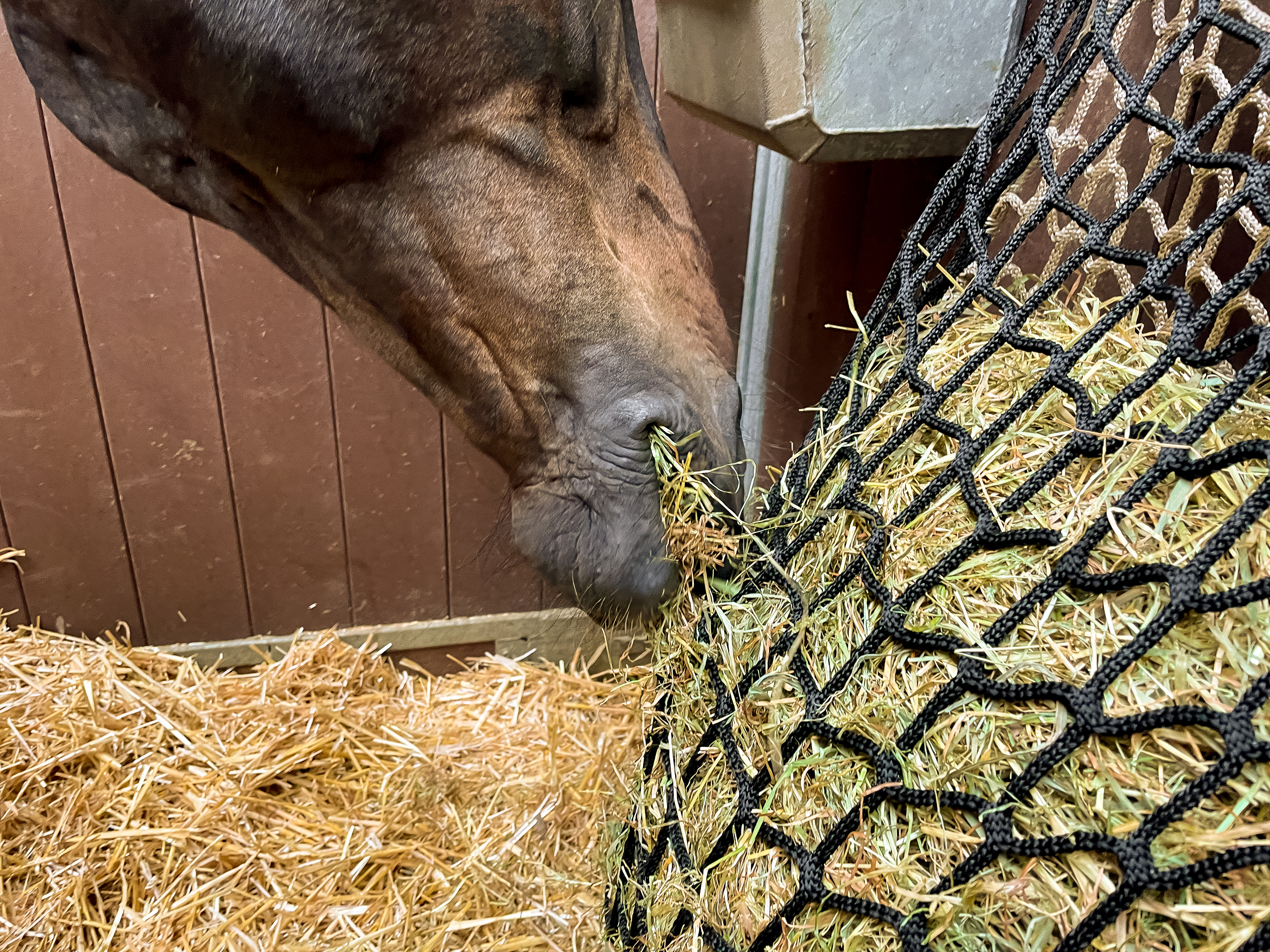 Hay Slow Feeder Net 10 kg (60/45 mm) — afbeelding 4