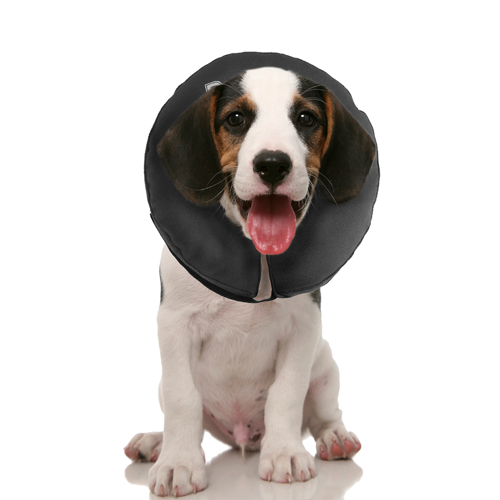 Zenpet ProCollar XS — afbeelding 5