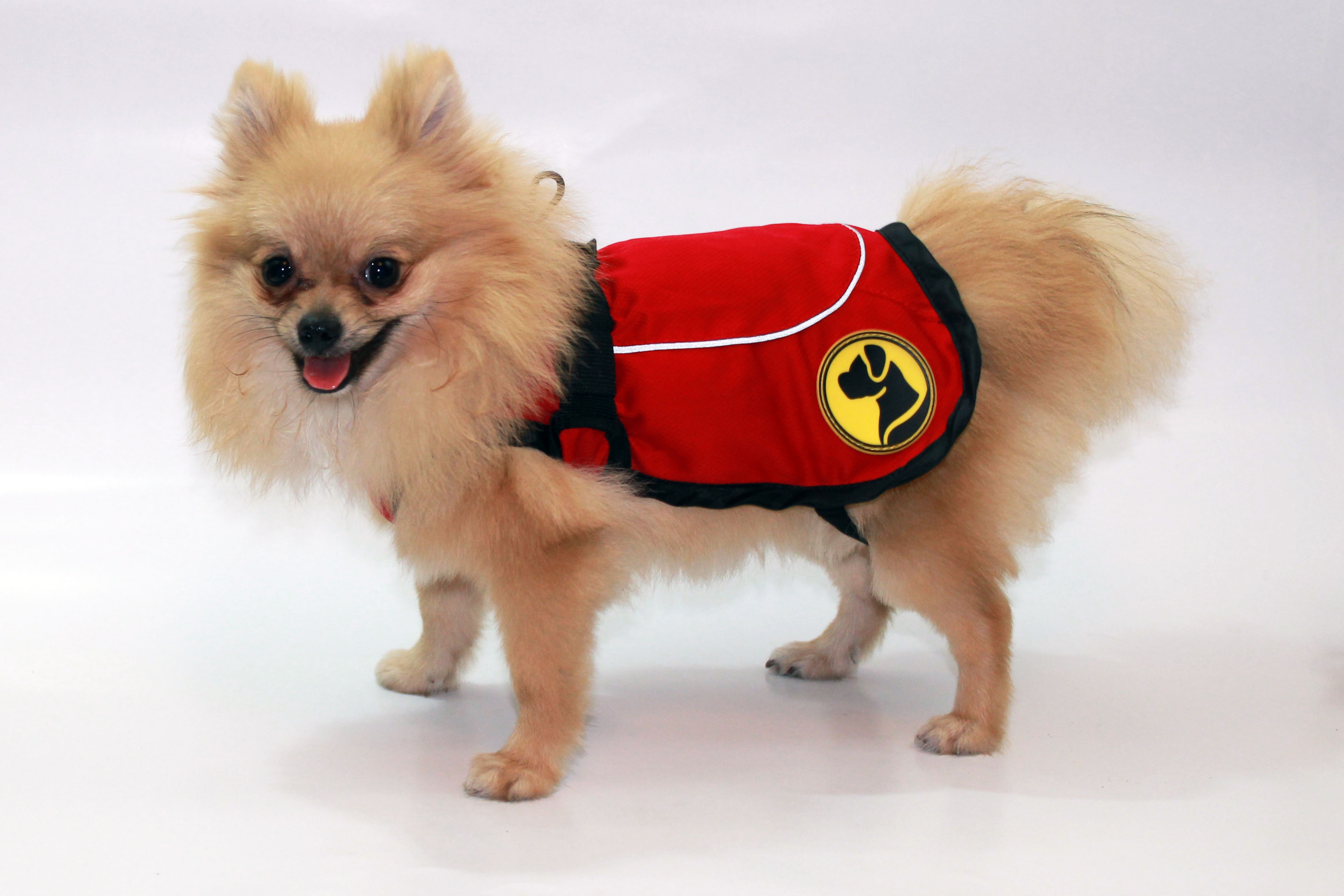 Dog Armor Knockdown Coat (Insect Shield) XS (35cm ruglengte) — afbeelding 2