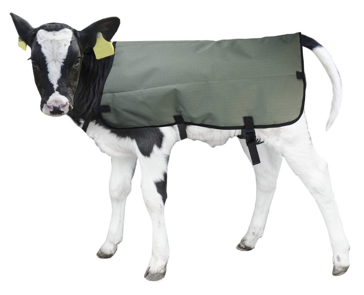 Calf Coat Kalverdek 70 cm — afbeelding 2